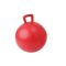 გიმნასტიკის ბურთი Jumping ball 55cm red