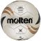 ფეხბურთის ბურთი MOLTEN fotball ball VG-4000 FIFA  5